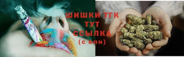 дурь Лабытнанги
