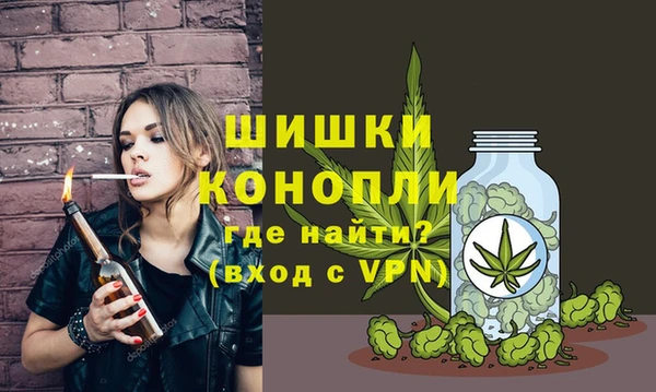 дурь Лабытнанги
