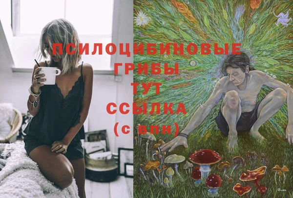 дурь Лабытнанги