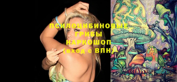ГАЛЛЮЦИНОГЕННЫЕ ГРИБЫ Абинск